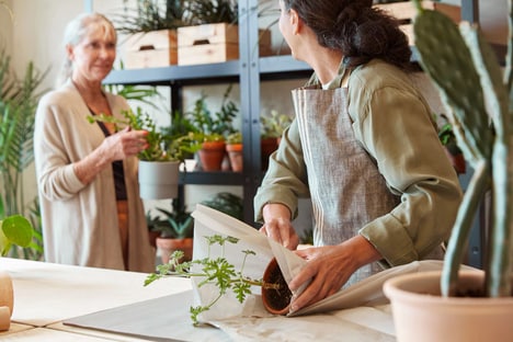 Small Business Retail Spaces