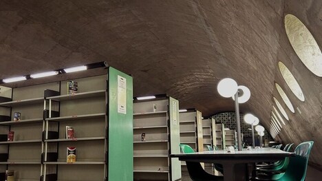 Library-Based Inequity Initiatives
