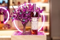 Scotch Whisky Airport Activations Image 1