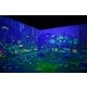 Interactive Game-Inspired Experiences Image 4
