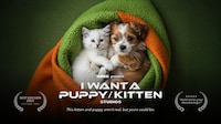 AI-Generated Pet Teasers