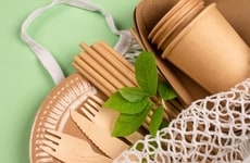 Biodegradable Chinese Tableware