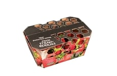 Cardboard Packaging Innovations