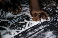 Custom-Crafted Car Mats Image 3