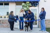 Affordability-Focused Veterinary Clinics Image 2
