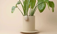 Automated Pro-Grade Plant Sensors