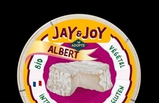 Surface-Ripened Plant-Based Cheeses