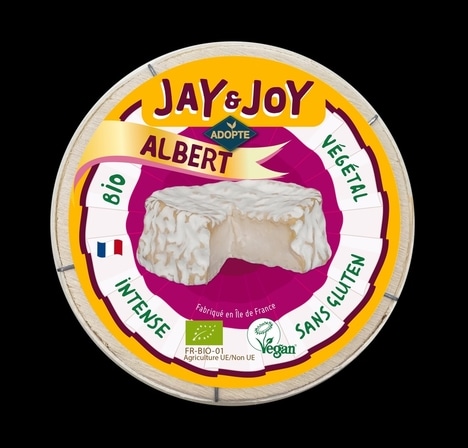 Surface-Ripened Plant-Based Cheeses