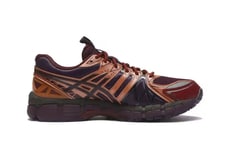 Nature-Inspired Collaborative Sneakers