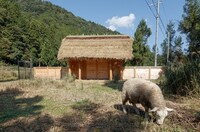 Thatched-Roof Wooden Huts Image 2