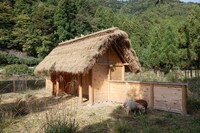 Thatched-Roof Wooden Huts Image 4
