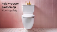 Festival-Focused Toilet-Sharing Initiatives Image 1