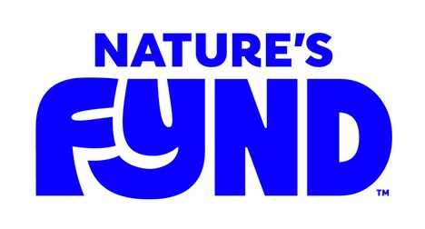Nutrient-Dense Fungi Protein Products