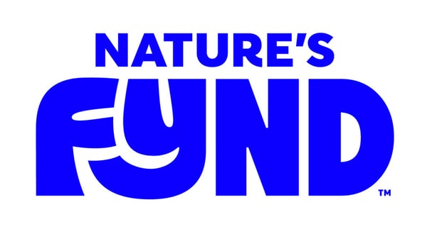 Nutrient-Dense Fungi Protein Products
