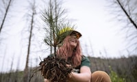 Massive Tree-Planting Initiatives