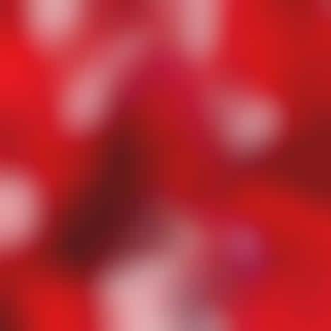 Cherry-Inspired Beauty Collections