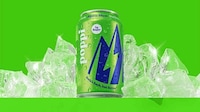 Invigorating Prebiotic Citrus Sodas