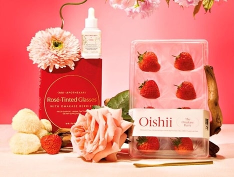 Japanese Heritage Collaborations