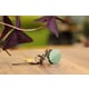 Colorful Eco-Friendly Smart Trackers Image 4