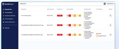 PII Risk Detection