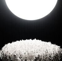 Avant-Garde Fragrance Experiences Image 3