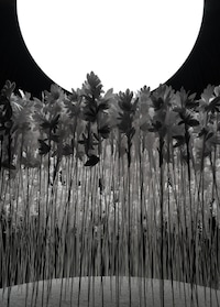 Avant-Garde Fragrance Experiences Image 4