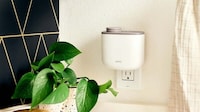Space-Saving Outlet Oil Diffusers