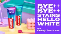 Stain Removal Tooth Polishes Image 1