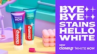 Stain Removal Tooth Polishes