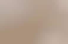 Mood-Enhancing Scent Collections