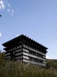Bee-Watching Wooden Cabins Image 2
