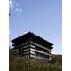 Bee-Watching Wooden Cabins Image 2