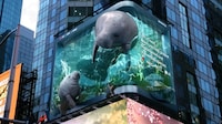 Manatee-Spotlighting 3D Billboard Displays