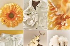 Regenerative Fashion-Focused Partnerships Article Thumbnail