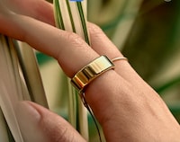 Wearable Health Trackers