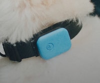 Pet Health Trackers