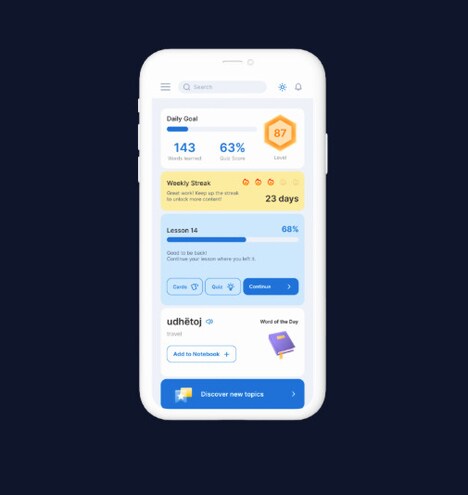 Language Learning Platforms