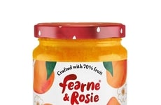 Nutritious Mango Preserve Condiments