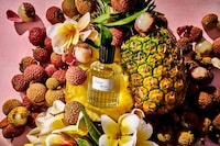 Mood-Setting Tropical Note Fragrances