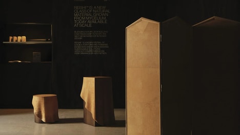 Mycelium-Crafted Organic Tables
