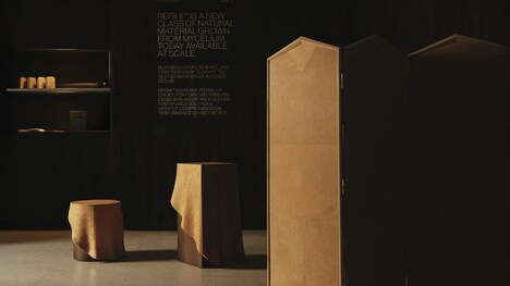 Mycelium-Crafted Organic Tables