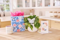 Celebratory Mother&rsquo;s Day Collections Image 1