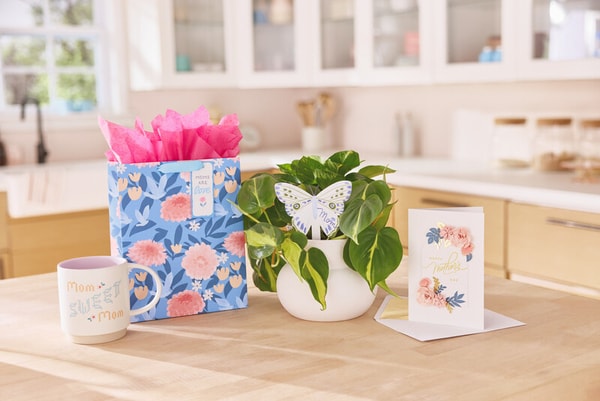 Celebratory Mother&rsquo;s Day Collections