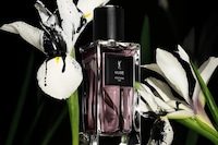 Evocative Unisex Fragrances Image 1