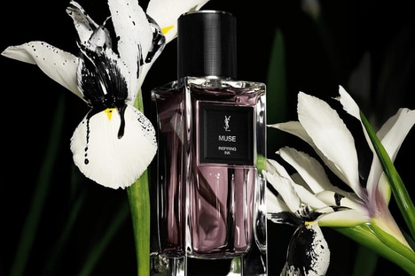 Evocative Unisex Fragrances