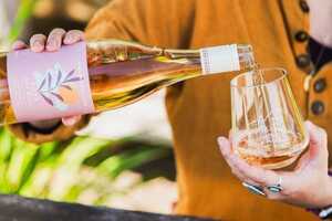 Sustainable Dry Ros&eacute;s Article Thubnail