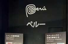 Impressive Cultural Showcases