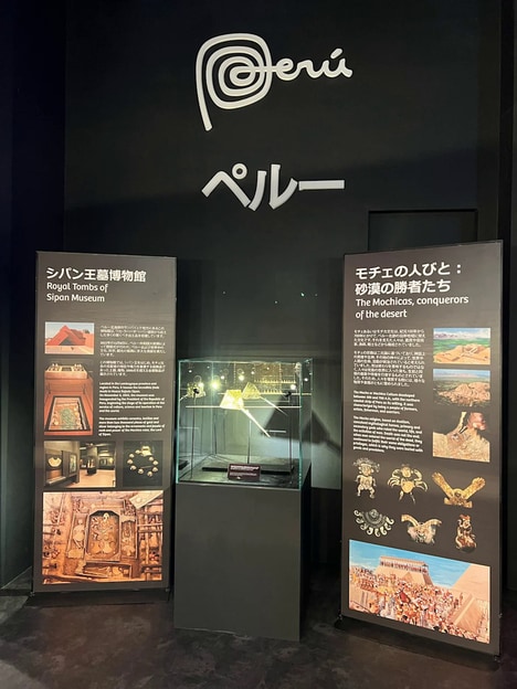 Impressive Cultural Showcases
