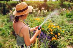 Smart Irrigation Kits Article Thubnail