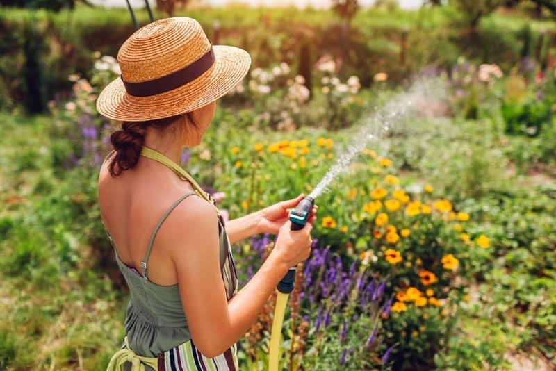 Smart Irrigation Kits Article Thubnail